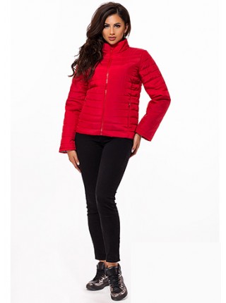 Модна коротка жіноча куртка на блискавці з коміром стойка 823707-11